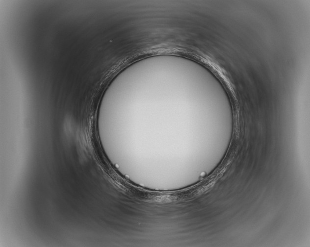 X0000116670153200912140952