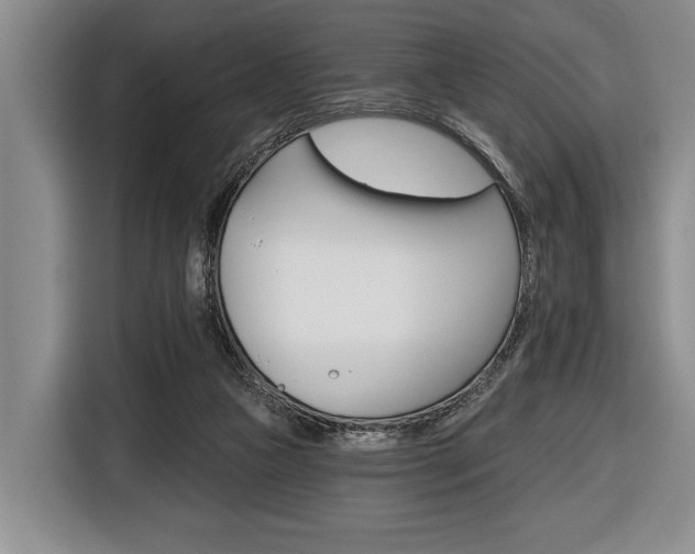X0000116670161200912140952