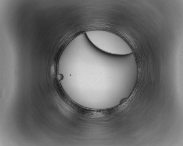 X0000116670166200912140952
