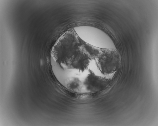 X0000116670173200912140952