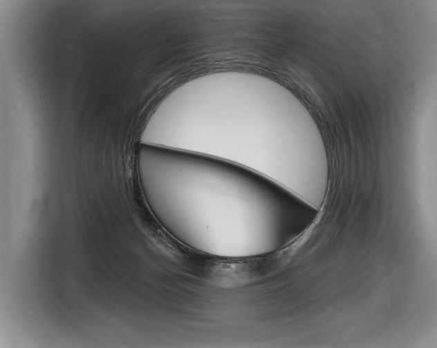 X0000116670174200912140952