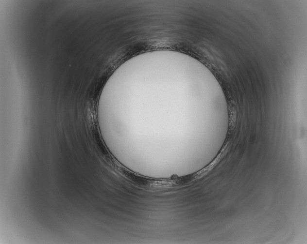 X0000116670179200912140952