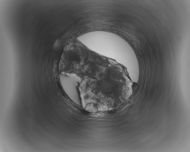 X0000116670181200912140952