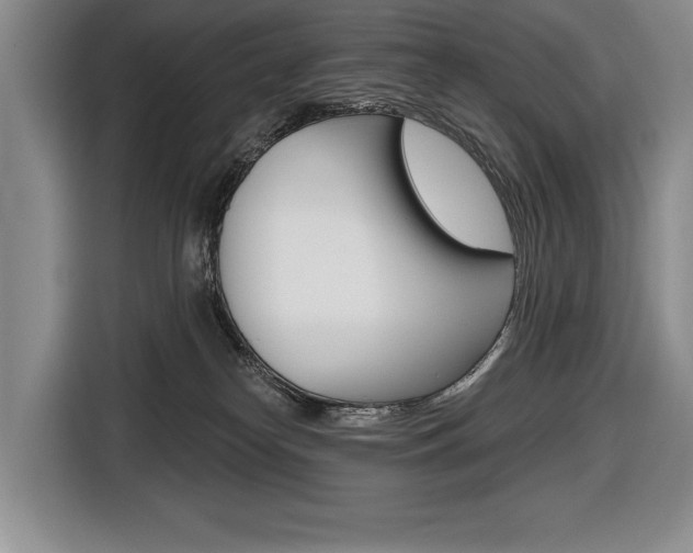 X0000116670182200912140952