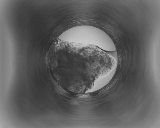 X0000116670185200912140952