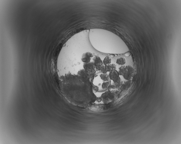 X0000116670187200912140952