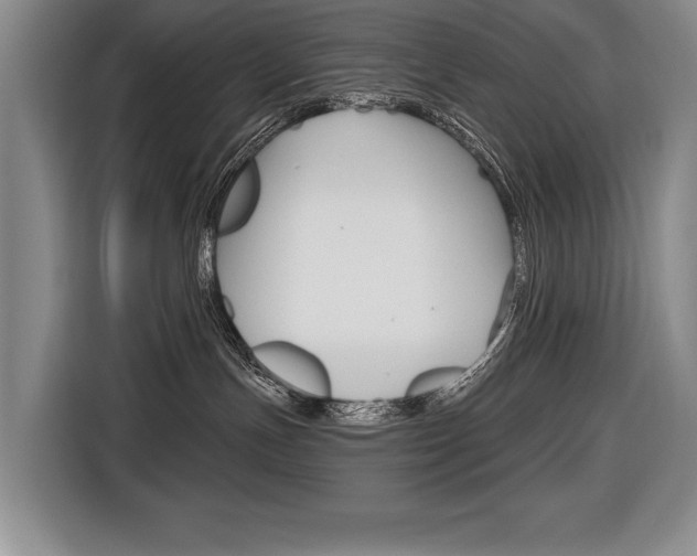 X0000116670191200912140953