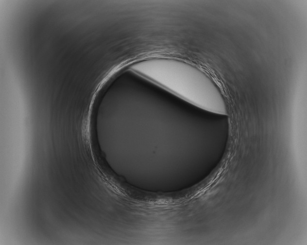 X0000116670196200912140952