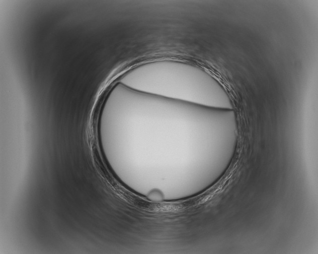 X0000116670198200912140952