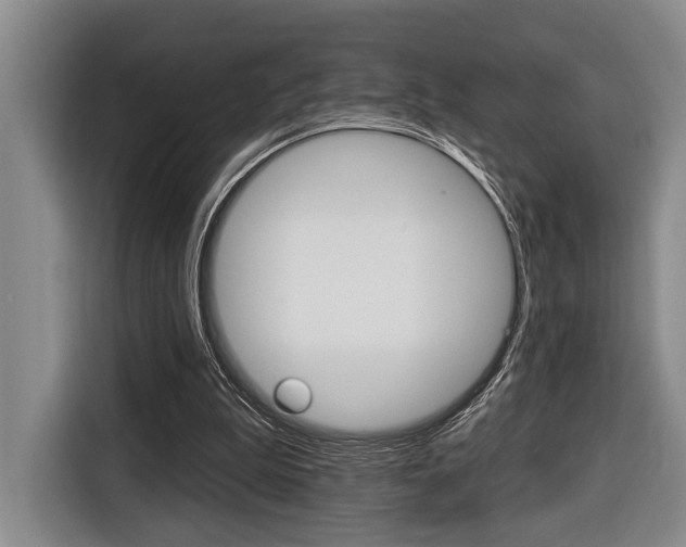 X0000116670199200912140952