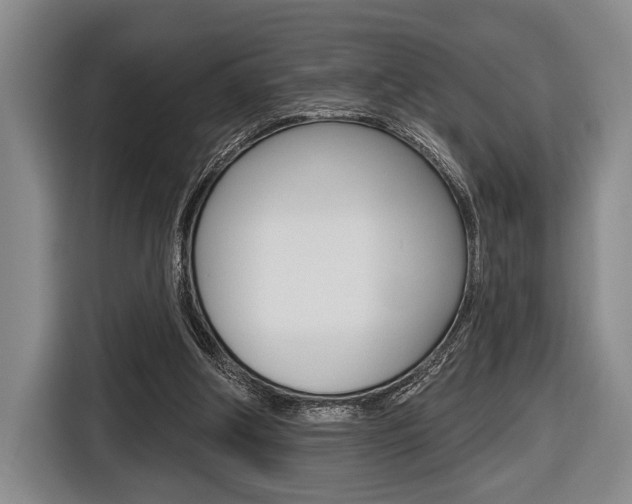 X0000116670202200912140952