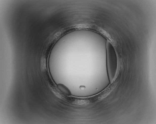 X0000116670205200912140952