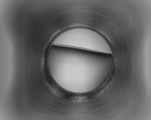 X0000116670208200912140952