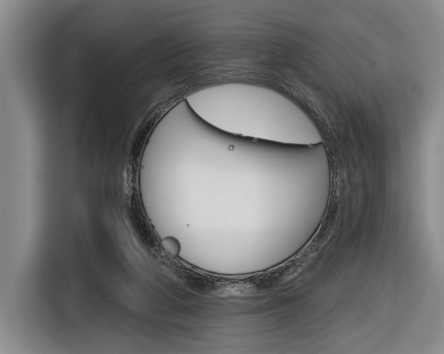 X0000116670210200912140952