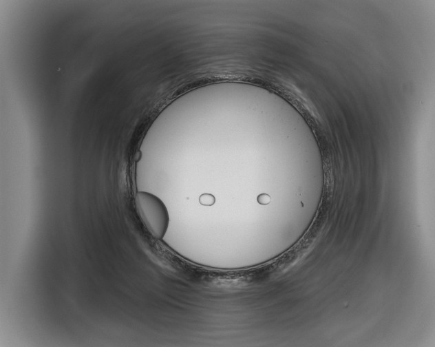 X0000116670213200912140952