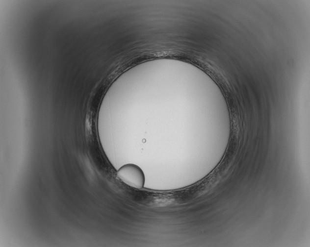 X0000116670214200912140952