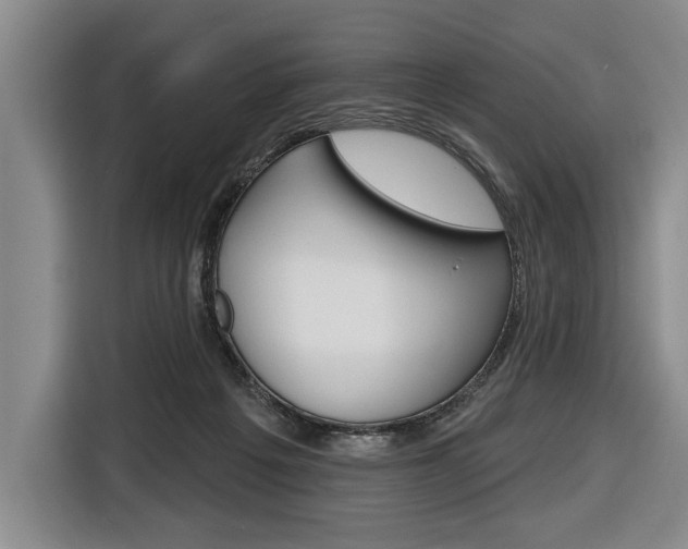 X0000116670217200912140952
