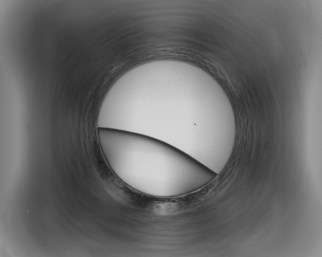X0000116670220200912140952