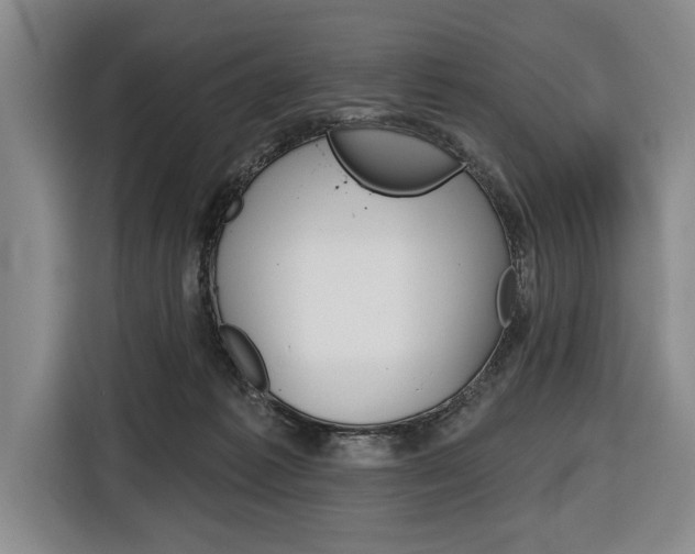 X0000116670221200912140952