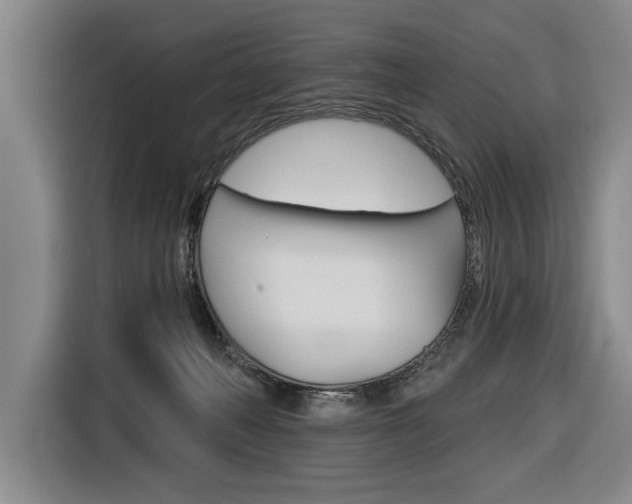 X0000116670222200912140952