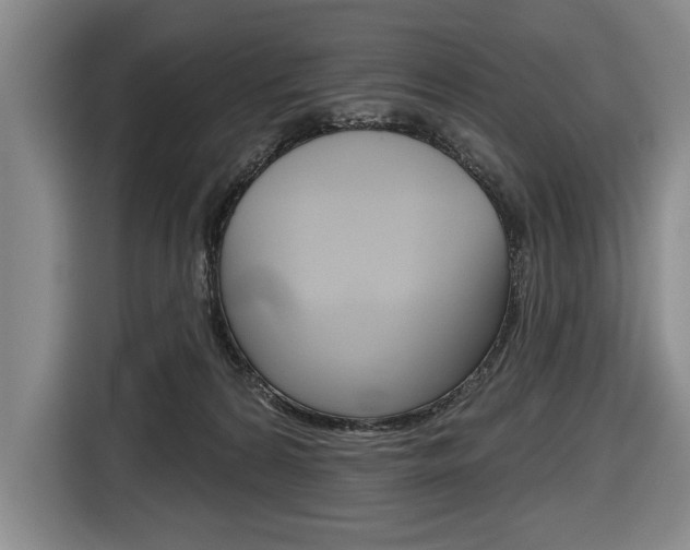 X0000116670224200912140952