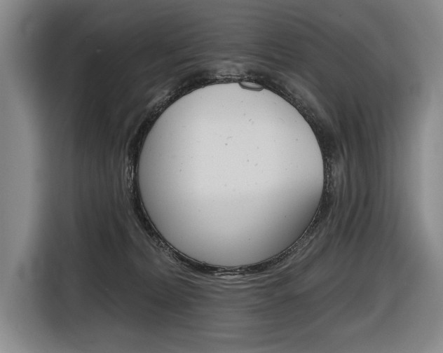 X0000116670228200912140951