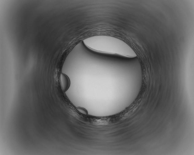 X0000116670232200912140951