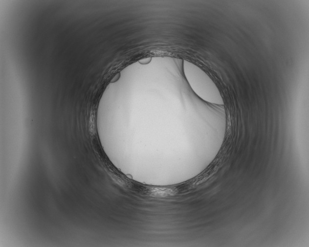 X0000116670234200912140951