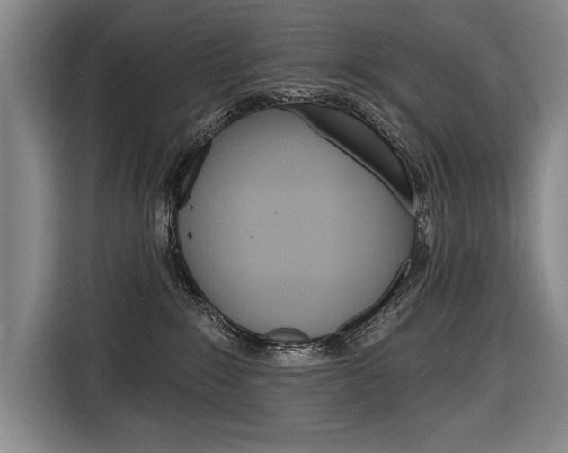 X0000116670235200912140951