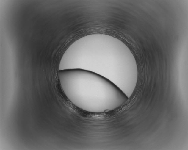 X0000116670236200912140951