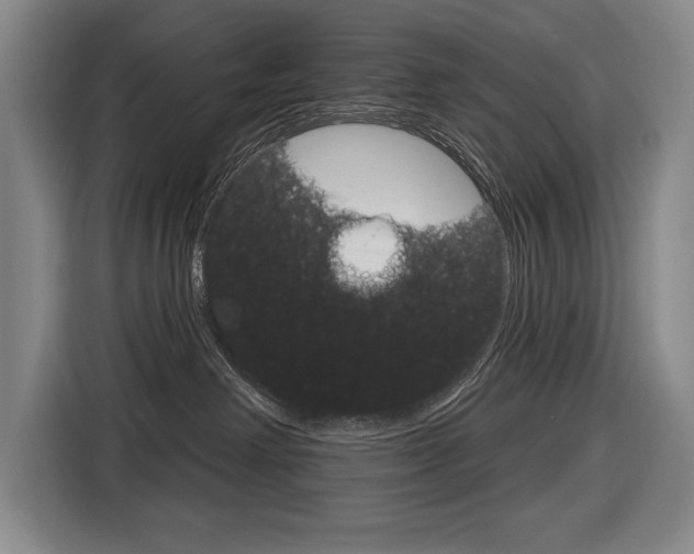 X0000116670238200912140951