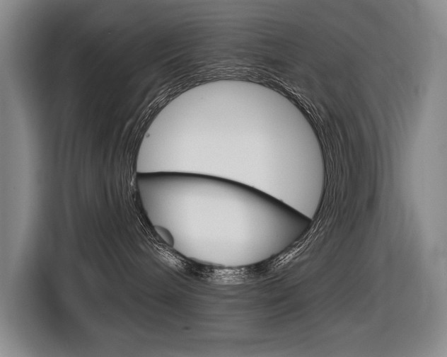 X0000116670240200912140951