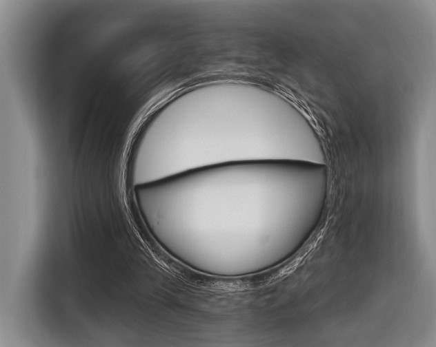 X0000116670245200912140951