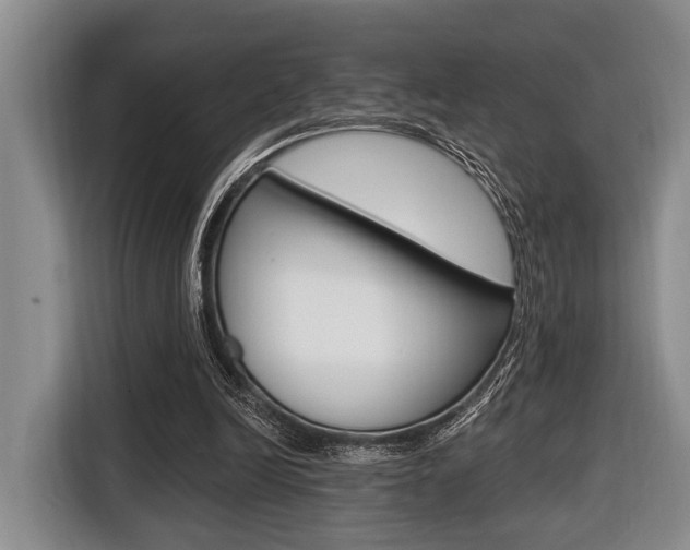 X0000116670246200912140951