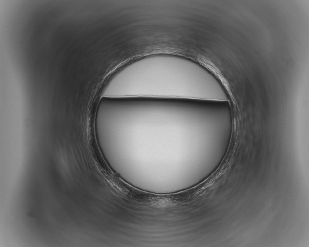 X0000116670249200912140951