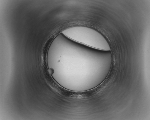 X0000116670254200912140951