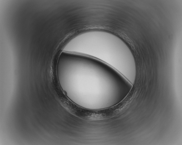 X0000116670256200912140951