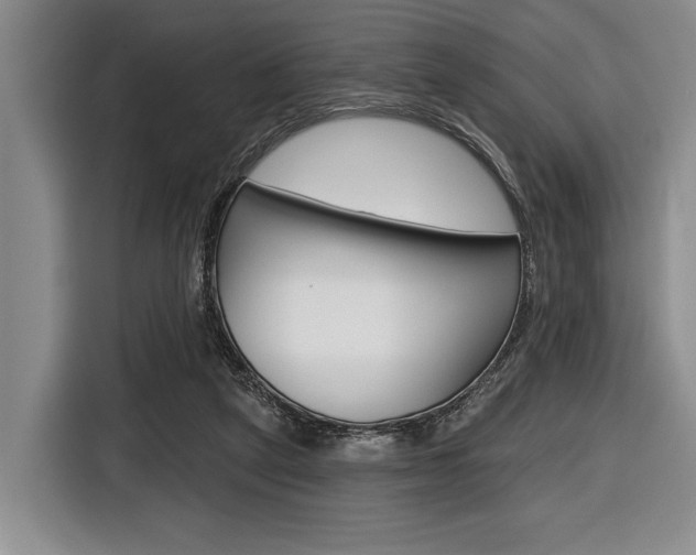 X0000116670257200912140951