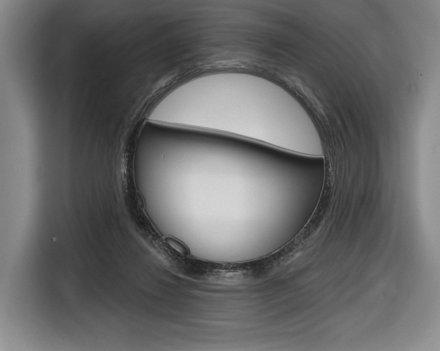X0000116670260200912140951