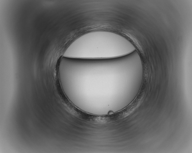 X0000116670261200912140951