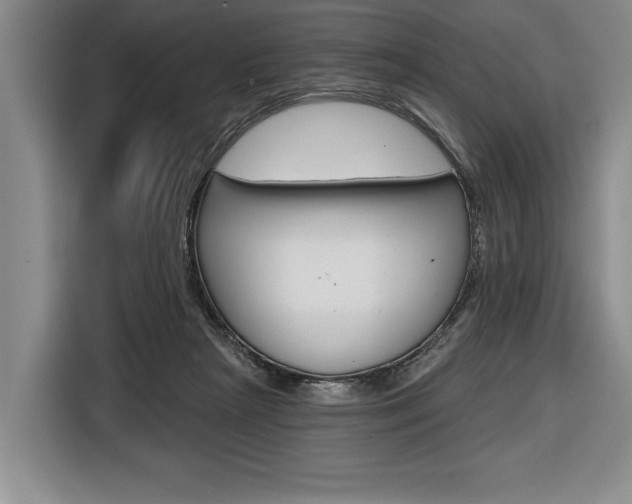 X0000116670265200912140951