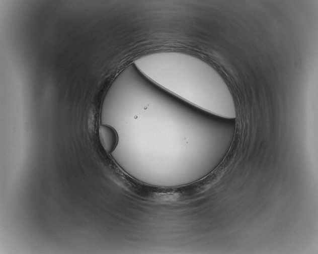 X0000116670266200912140951