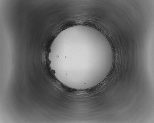 X0000116670275200912140951