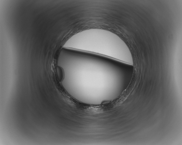 X0000116670280200912140951