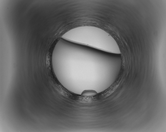 X0000116670282200912140951