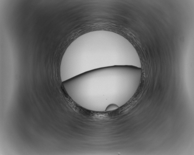 X0000116670283200912140951