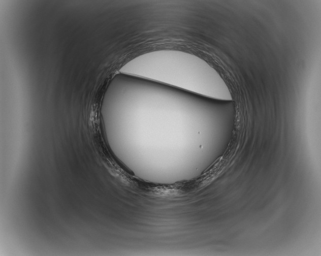 X0000116670284200912140951