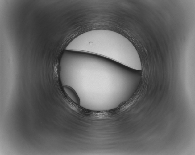 X0000116670286200912140951