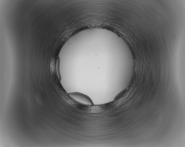 X0000116670287200912140951
