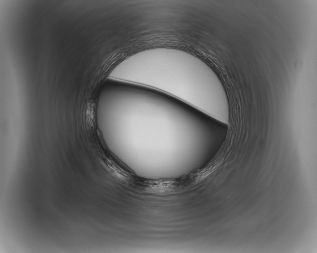 X0000116670288200912140951